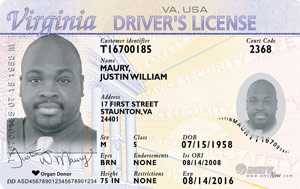 Virginia Driver's License, 21 and over