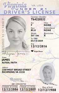 Virginia Driver's License, under 21