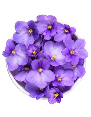 purple pansies in a glass