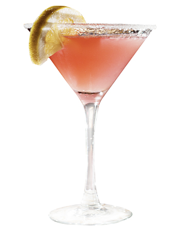Negroni Cocktail