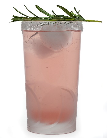 Chesapeake Cooler